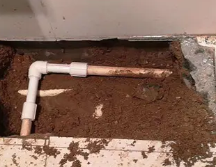 通许测漏水哪家好