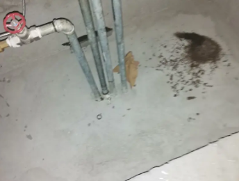 通许卫生间测漏水价格明细