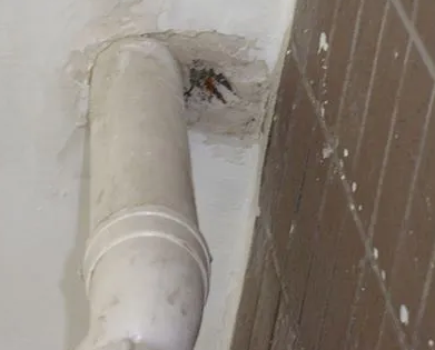 通许漏水检测哪家好